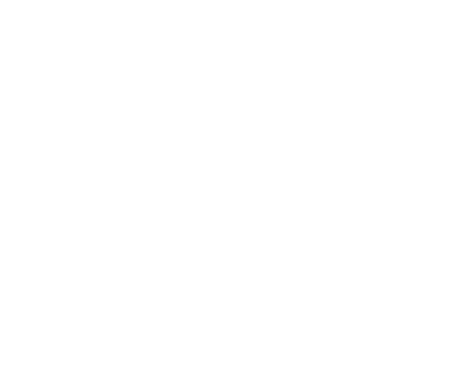 ZKM Logo
